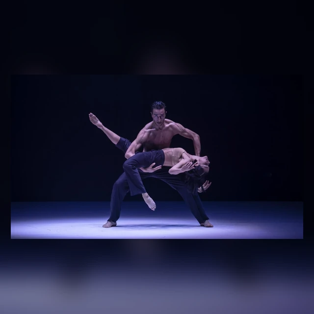Sydney Dance Company - ab [intra]
